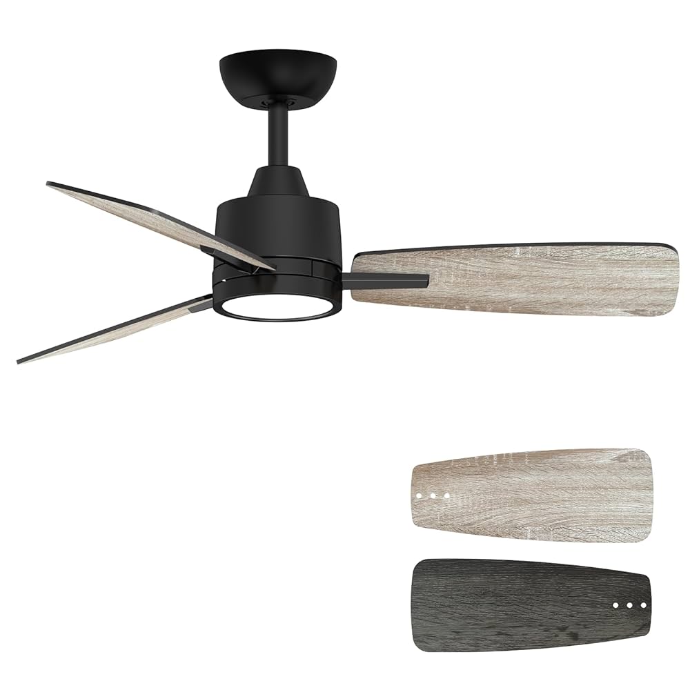 Amazon.com: TALOYA 42 Inch Ceiling Fans with Lights Led
